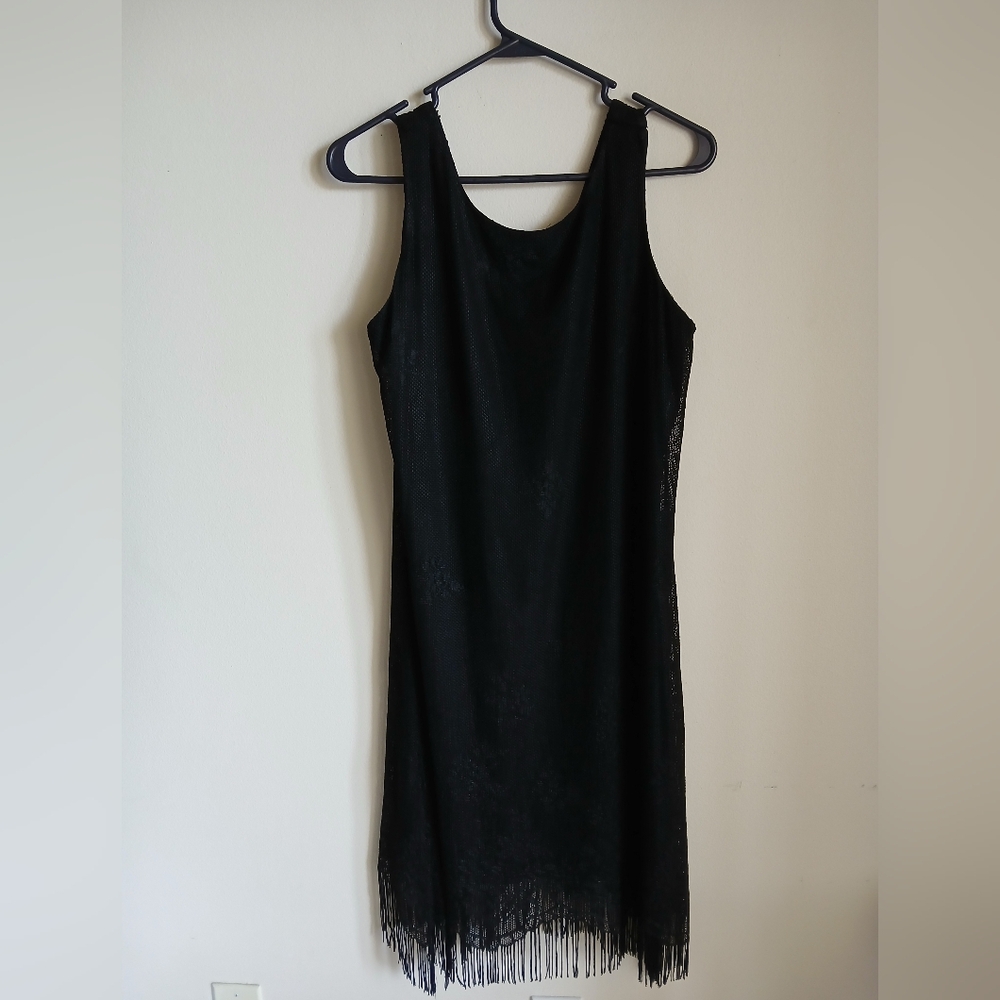 Harlow Dress Size 14 Fringe Whingsigoth Flapper Party